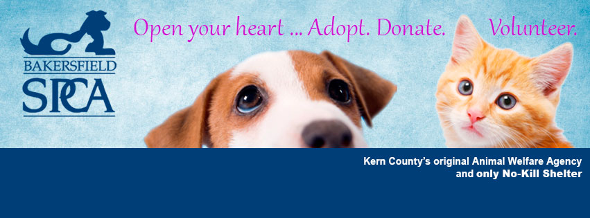 Bakersfield SPCA